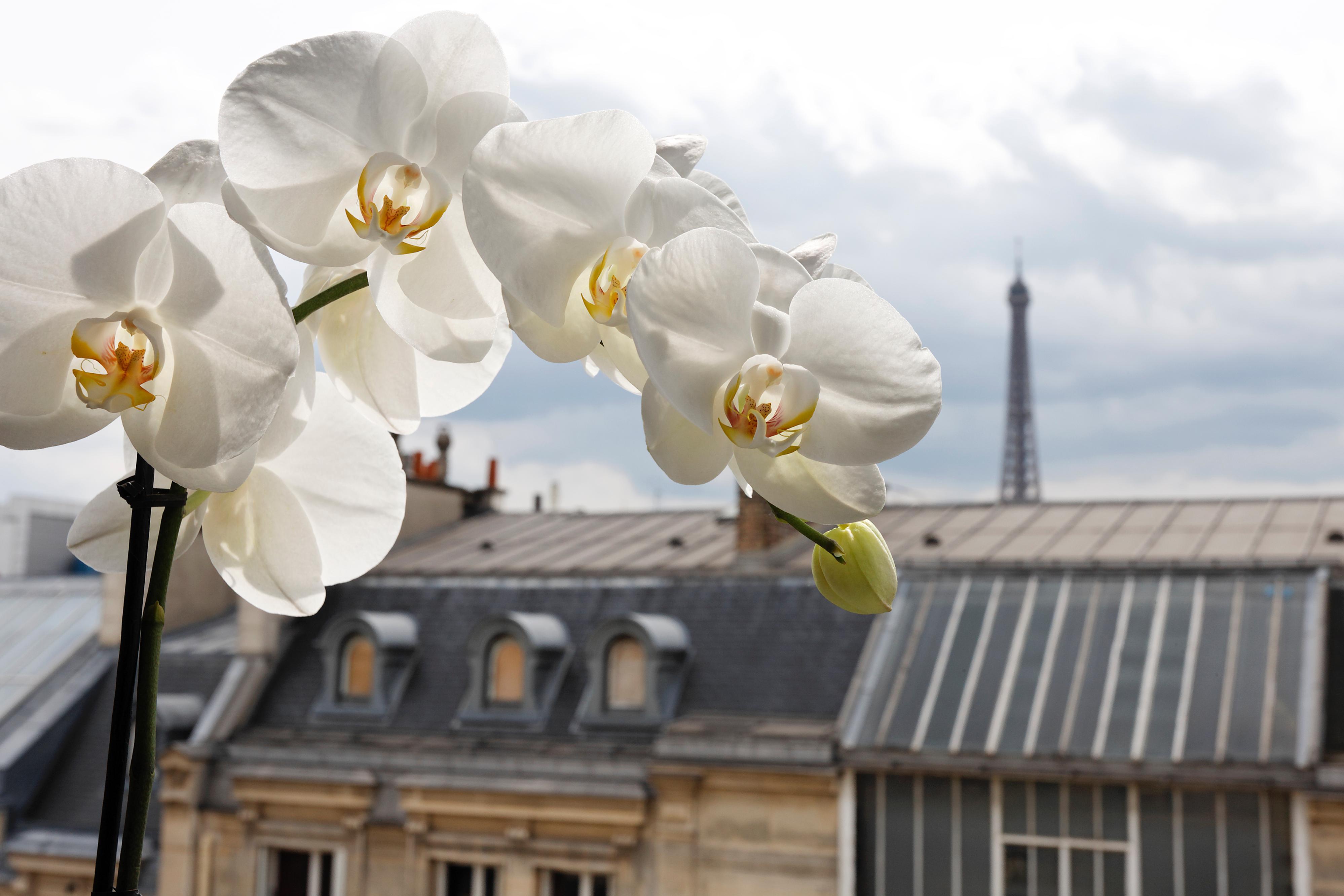 La Tremoille Paris Hotel Kültér fotó